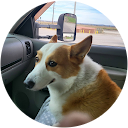 william drake profile picture